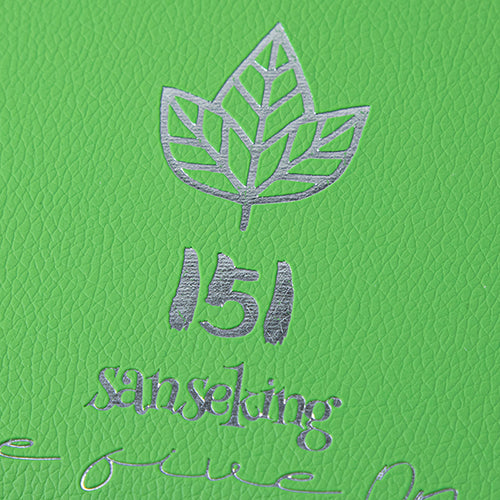 Pokémon 151 Binders Green
