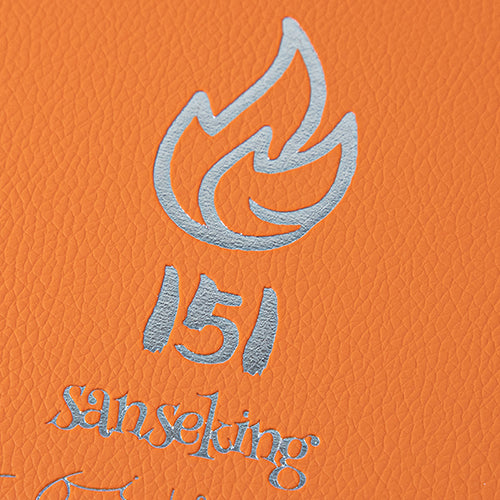 Pokémon 151 Binders Orange