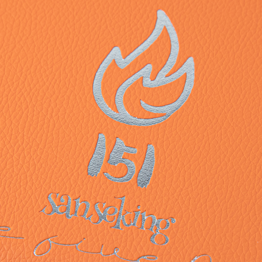 Pokémon 151 Binders Orange